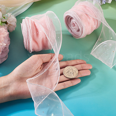 Polyester Deco Mesh Ribbons OCOR-TAC0024-004D-1