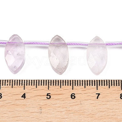 Natural Amethyst Beads Strands G-P607-A05-01-1