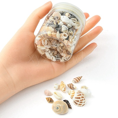 12 Styles Natural Mixed Shell Beads SSHEL-YW0001-05-1