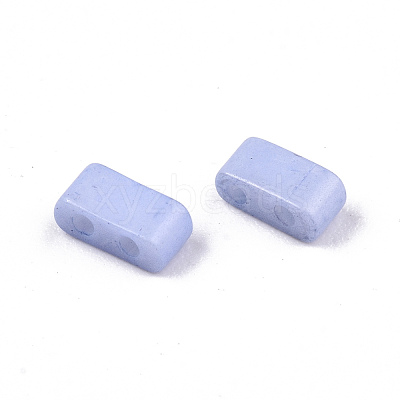 FGB 2-Hole Baking Paint Glass Seed Beads SEED-S031-M-SH494FR-1