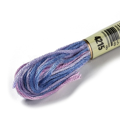 10 Skeins 6-Ply Polyester Embroidery Floss OCOR-K006-A66-1