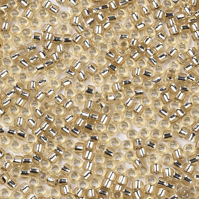 Glass Seed Beads SEED-S042-04A-05-1