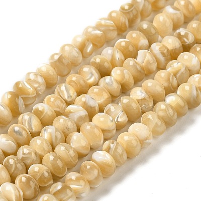 Natural Trochus Shell Beads Strands SHEL-K006-25A-1