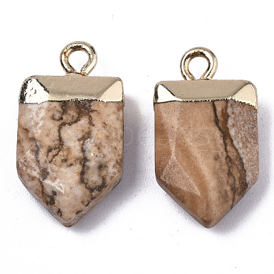 Natural Picture Jasper Pointed Pendants G-N326-34I-1
