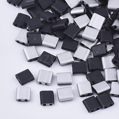 FGB 2-Hole Glass Seed Beads SEED-S031-L-049F-K-1
