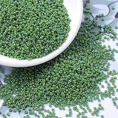 MIYUKI Round Rocailles Beads X-SEED-G007-RR0480-1