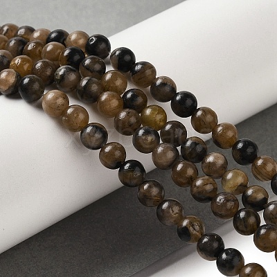 Natural Chiastolite Beads Strands G-Q161-A03-02-1