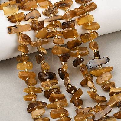 Natural Amber Beads Strands G-P619-A02-01-1