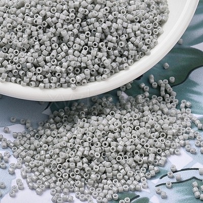 MIYUKI Delica Beads SEED-J020-DB2366-1