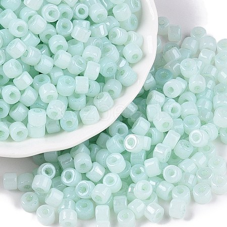 Glass Seed Beads SEED-T008-01E-1