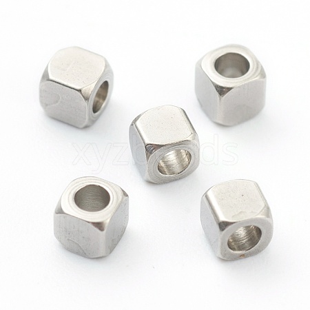 Non-Tarnish 304 Stainless Steel Beads STAS-H160-02B-P-1