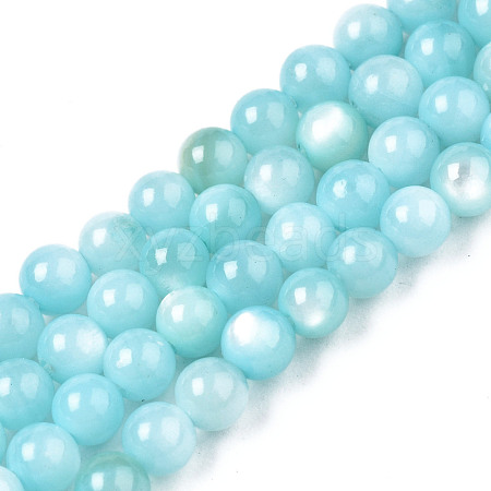 Natural Freshwater Shell Beads Strands BSHE-T009A-01E-1