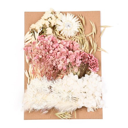 Dried Flower DIY-B018-14-1