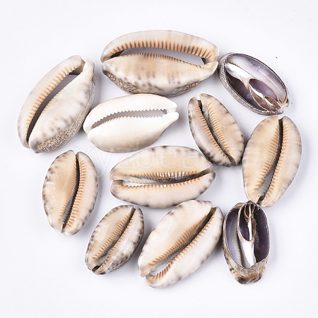 Cowrie Shell Beads SSHEL-T008-26-1