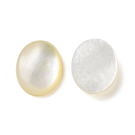 Natural Yellow Shell Cabochons SSHEL-H068-03-1