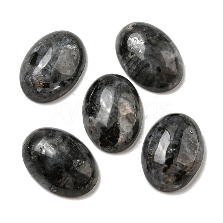 Natural Larvikite Cabochons G-C115-01A-40-1