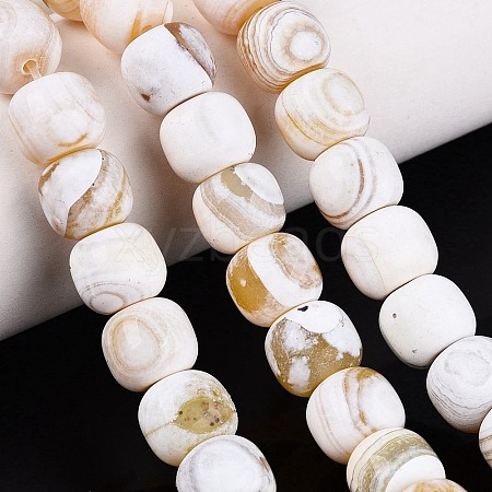 Natural Fire Crackle Agate Beads Strands G-Q606-94A-1