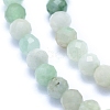 Natural Myanmar Jade/Burmese Jade Beads Strands G-I279-E07-3