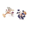 Natural Gemstone Chips Display Decorations G-Z016-13-3