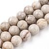 Natural Maifanite/Maifan Stone Beads Strands G-I187-8mm-01-5