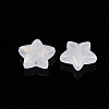 Opaque Acrylic with Glitter Powder Beads SACR-G024-15-2