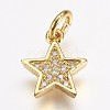 Brass Micro Pave Cubic Zirconia Charms X-ZIRC-G087-35G-1