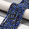 Natural Lapis Lazuli Beads Strands G-Z035-A01-02A-2