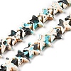Spray Painted Synthetic Turquoise Beads Strands LS-UNKW-T001-11H-4
