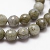 Natural Labradorite Beads Strands X-G-D840-10-8mm-3