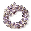 Natural Amethyst Beads Strands G-Q010-A06-01-3