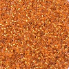 MIYUKI Delica Beads SEED-X0054-DB0045-3
