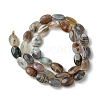 Natural Botswana Agate Beads Strands G-H004-B02-03-3