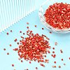 Opaque & Transparent Inside Colours Glass Seed Beads SEED-YW0002-17B-6