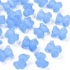 Transparent Acrylic Beads MACR-S373-80-D-2