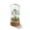 Natural Green Aventurine Chips Money Tree in Dome Glass Bell Jars with Wood Base Display Decorations DJEW-K030-02N-1