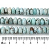 Natural Larimar Beads Strands G-H004-A01-01-5