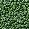 TOHO Round Seed Beads SEED-XTR11-0407F-2