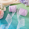 Polyester Deco Mesh Ribbons OCOR-TAC0024-004B-6