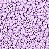 12/0 Baking Paint Glass Round Seed Beads SEED-S036-01A-08-3