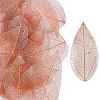 100Pcs Dried Flower Leaf Craft Supplies AJEW-CP0009-41C-1