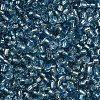 8/0 Glass Seed Beads X2-SEED-A005-3mm-23-2