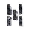Natural Larvikite Beads G-G137-01M-2