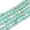 Natural Amazonite Beads Strands G-T055-10mm-17-1