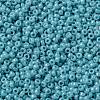 MIYUKI Round Rocailles Beads SEED-JP0010-RR2470-3