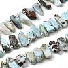 Natural Larimar Beads Strands G-Z091-A09-2