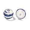 Transparent Glass Enamel Beads GLAA-P078-01A-05-2