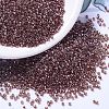 MIYUKI Delica Beads X-SEED-J020-DB1222-1