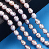 Natural Cultured Freshwater Pearl Beads Strands PEAR-N012-04O-6