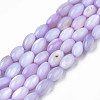 Natural Freshwater Shell Beads Strands X-SHEL-N003-25-B04-1