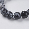 Natural Snowflake Obsidian Beads Strands X-G-G515-10mm-01-3